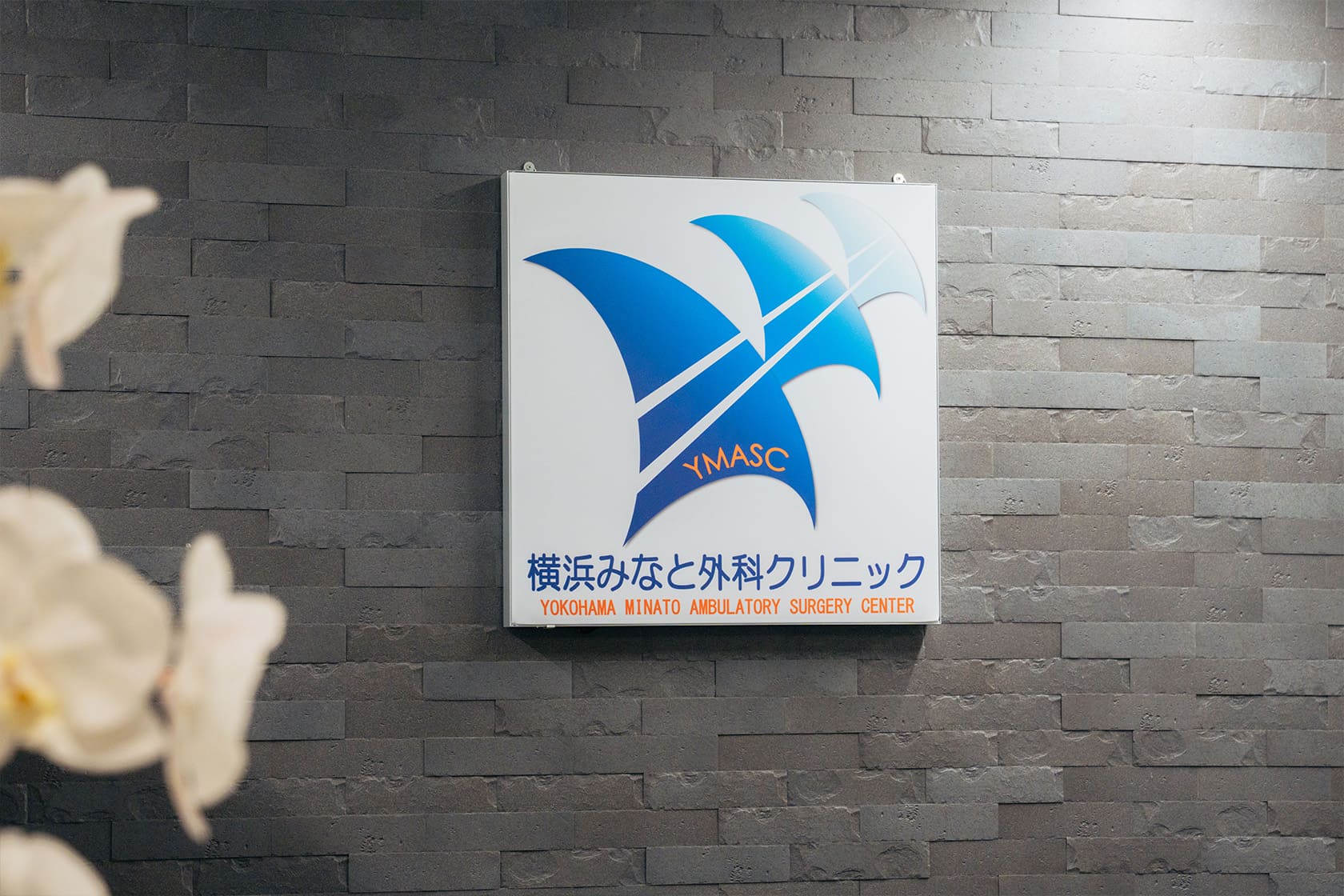 横浜みなと外科クリニック 院内の様子